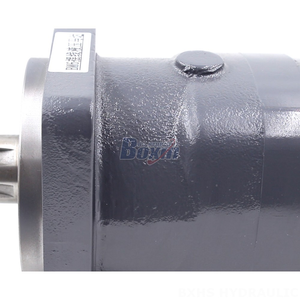 BM6 Cycloid Hydraulic Motor OEM/ODM Services: 195 cc/r, 150 Lpm detail image